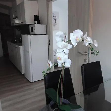 Apartmaja Eva&pia Koper