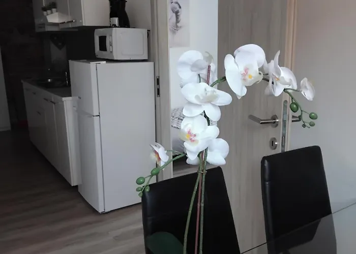 Apartmaja Eva&pia Κόπερ